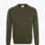 065 OLIVE
