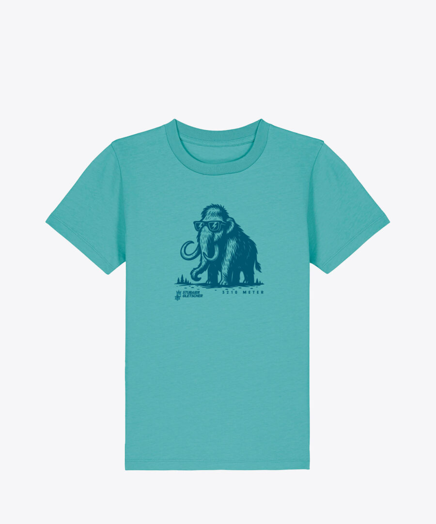 WS Mammut Stubaier T-Shirt 25-K small